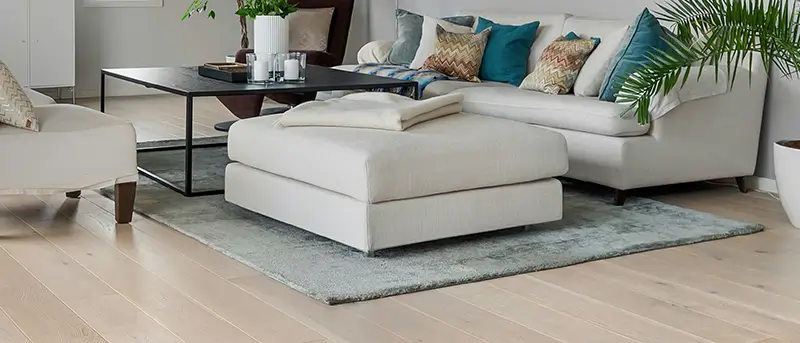 Area Rugs in Arvada
