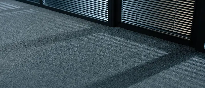 Dixie Home Carpet EnVision66 and EnVisionSD nylon